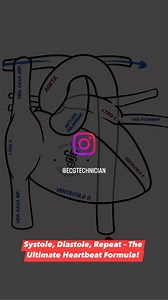 183K views · 1.8K reactions | The Cardiac Cycle: The Heart’s Never-Ending Dance!  | Medical Talks | Facebook