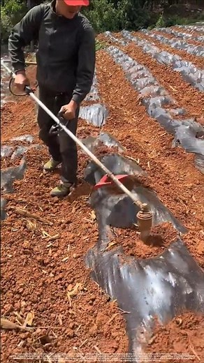 Precision in Every Beat: How Modern Portable Tools Revolutionize Farming