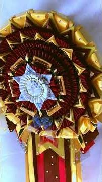 Rosettes, ribbon awards by Ros rosettes. some of my creations