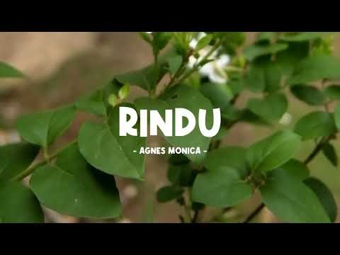 agnes monica - rindu - lirik lagu indo