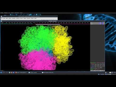 Analizando estructuras 3D de proteínas con Pymol