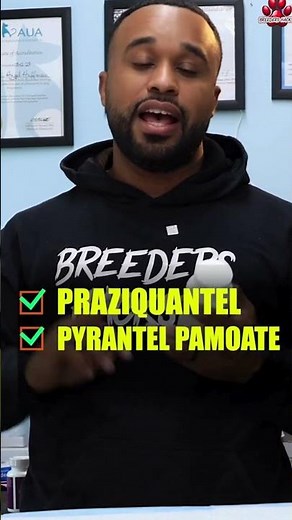 The Strongest Dewormer for Dogs 🐶🪱