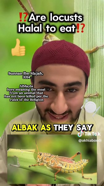 Are Locusts Halal to Eat? Key Insights and Facts