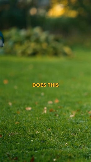 The new Woolly Wolf Alpha 360 Dog Harness! Designed for Adventure - Made to Endure | Woolly Wolf | Facebook