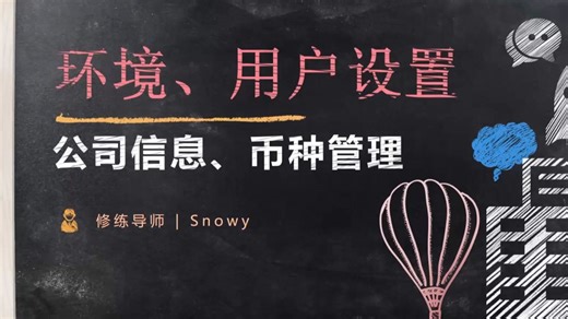 0基础入门_ Salesforce_admin管理员课程_中文学习_公司信息 货币管理