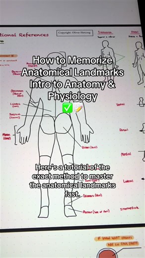 Memorize Anatomical Landmarks for Anatomy & Physiology