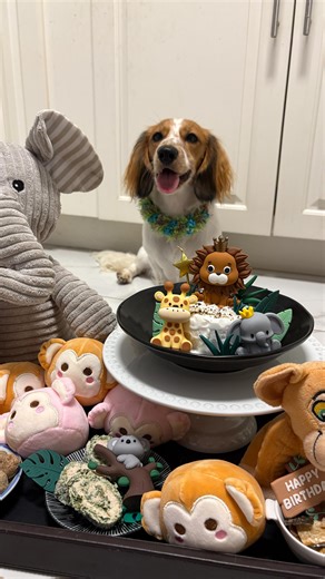 Simba & Nala (and Baby Nalu) | Nalu’s wild 1 safari feast You know this foodie family will always have a spread for their special day! Safari menu: 🦁 safari cake -... | Instagram