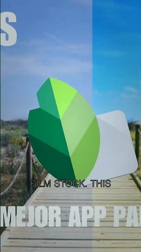 Google's New Snapseed Camera for iPhone