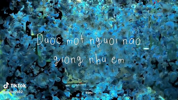 Bài Hát Về Tình Yêu Mập Mờ