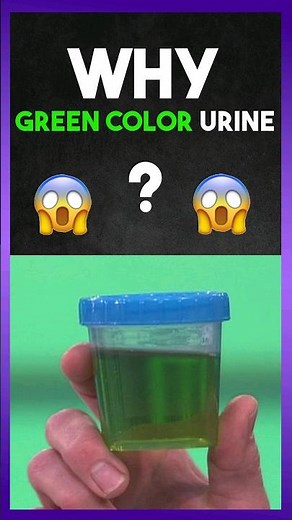 Why " GREEN Colour " Urine ?