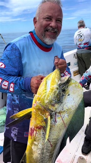 Bora...bora...bora...🚀🚀🚀 #pescariaédiversão #pesca #pescaria #inshorefishing #fishingguide pescando pescador lightjigging slowjigging fisherman shorejigging nuncanega robaloflecha lures jigging riodejaneiro olhodeboi olhete xareubranco borápescar angradosreis ilhagranderj viralvideos foryou pescariaemaltomar angra ilhagrande_bra
