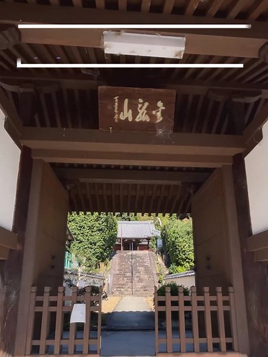 長福寺の魅力を奈良野めいがご案内