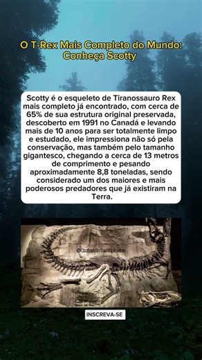 O Tiranossauro Rex mais completo e um dos maiores já descobertos na história 🦖