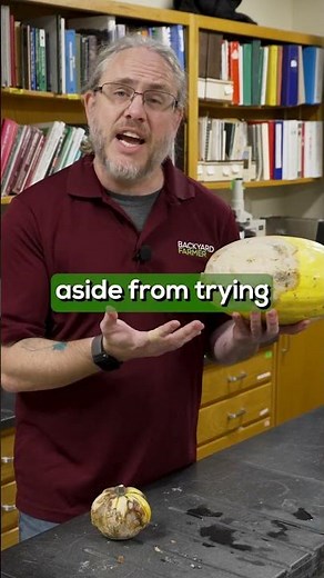 🍂 What Is Fusarium Rot on Squash? Should You Still Eat It?