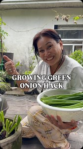 Try this infinite green onion hack to grow your own! #greenonion #propagation #garden #grow #gardening | Judy Bao Garden