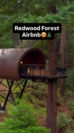 Alex Khachigian | Adventure Travel on Instagram: "👇🏼 Save and share these newly opened stays ⬇️ 1. The Spectacular Spyglass Treehouse (@artistree_treehouse) 👏🏼 Airbnb Rating: 4.9/5 ⭐️⭐️⭐️⭐️⭐️ (294 reviews) 📌 Occidental, California (Opened August 2023) 🌲You’ll be greeted by a harmonious blend of local wood and floor-to-ceiling windows offering breathtaking panoramic views of the lush forest canopy 2. The Sonoma Spyglass (@sonomaspyglass) 👏🏼 Airbnb Rating: 5/5 ⭐️⭐️⭐️⭐️⭐️ (145 reviews) 📌 S