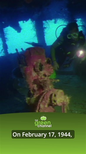 🛥️ The Legacy of Truk Lagoon In 1944, U.S. forces sank over 40 ships at Truk Lagoon. Fifty years later, a Canadian film crew documented the wrecks, ending with a search for the last missing ship, the Katsuragisan Maru. Watch now ➡️ https://ishortn.ink/TGC24 #TheLegacyofTrukLagoon #TheGreenChannel #WWIHistory #CanadianDocumentary | The Green Channel