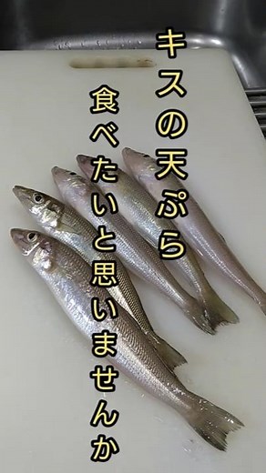キスは好きですよね♪キスの天ぷら食べたいと思いませんか？ #料理 #簡単レシピ #天ぷら #キス #鱚