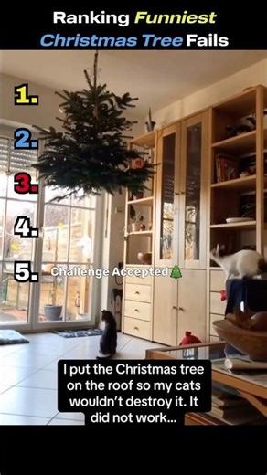 Ranking the Funniest Xmas Tree Disasters🎄😂