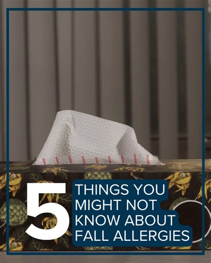 Ragweed, mold spores and dust mites send allergen counts soaring each fall. Learn how working with a virtual primary care provider and making lifestyle modifications can help lessen your seasonal allergies: https://bit.ly/47ibyHW | Advocate Health Care