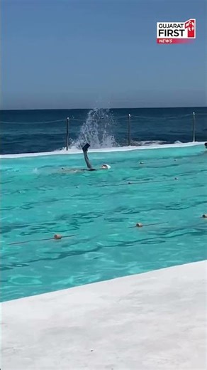 Vaat Java Do | શું તમે કોઈ વ્યસન કરો છો? તમને અને મને બધાને જ આ વ્યસન છે. | Gujarat First