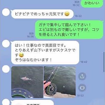 1/17 みなとみらいでのヘチ釣り短時間(2時間弱)の釣行「スジエビ物語」