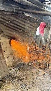 Amazing tasty chira making procces. #viral #shortvideos