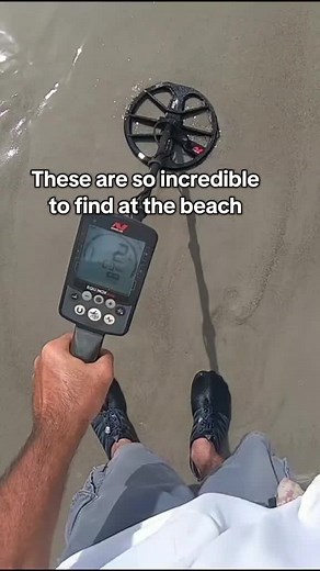 Incredible Beach Finds: Metal Detecting for Treasure