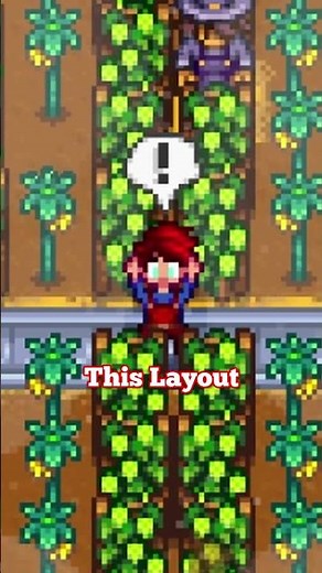 I Built The Most Efficient Crops Layout In Stardew Valley