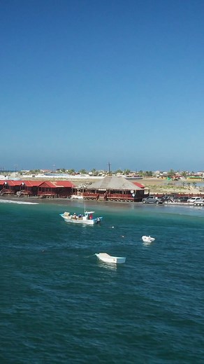 5.4K views · 181 reactions | So similar to the Grouper back home! :...