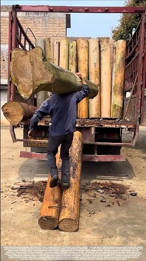 Hoisting a Hundred-Pound Log on One Shoulder: The Pinnacle of Gravitational Torque Balance