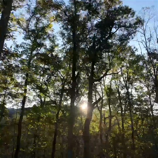 Fall in Hinton, nothing's better 🍂🍁 | City of Hinton Government