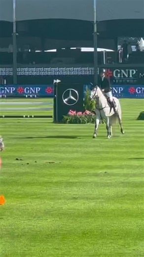 Equestrian Event Highlights: Horse Jumping Action