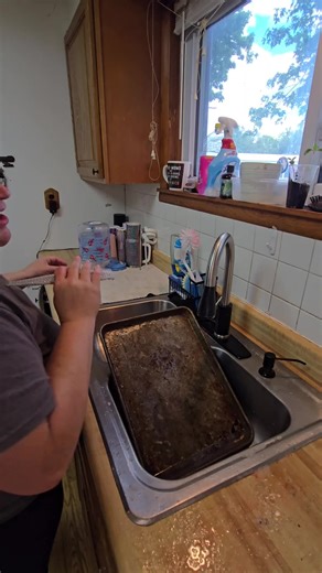 had to give these a try! theyre nit quite as magical as some.l people make them out to be but theyre still a nice tool to have in the kitchen. should I try the bottom of my pans? #tiktokmademebuyit #tiktokshop #shop #ad