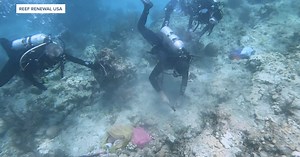 Schools get creative to get students into expensive STEM careers