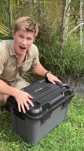 Robert Irwin rescues a turtle off a busy highway