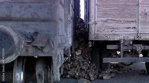 Workers Loading Tree Logs from Logging Truck into Cargo Train Railcar in Patagonia, Argentina.