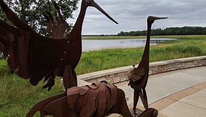 Castle Rock Lake, Necedah NWR and Buckhorn State Park: Could be the next big Chicago getaway