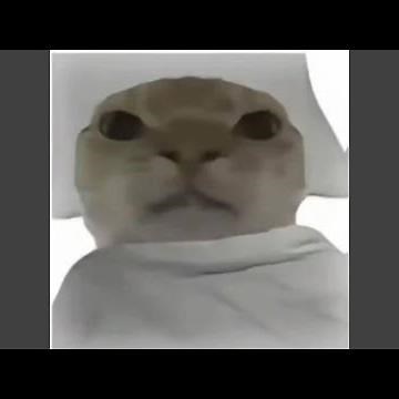 Wake Up Hajimi - 哈基米起床