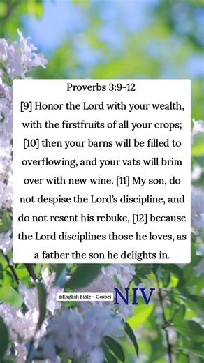 6.2K views · 216 reactions | Proverbs 3:9-12 [9] Honor the Lord with your wealth, with the firstfruits of all your crops; [10] then your barns will be filled to overflowing, and your vats will brim over with new wine. [11] My son, do not despise the Lord’s discipline, and do not resent his rebuke, [12] because the Lord disciplines those he loves, as a father the son he delights in. English Bible - Gospel | English Bible - Gospel | Facebook