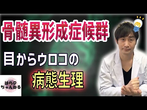 【病態生理の徹底解説】骨髄異形成症候群ってどんな病気？何が起こるの？