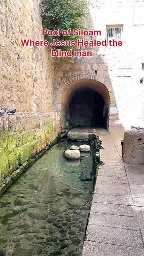 Exploring the Pool of Siloam in Ancient Jerusalem