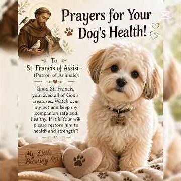 Prayer for Dog’s Healing ~ Heavenly Father & St. Francis of Assisi !!!