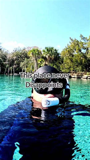 sliver glen springs with so many fish surrounding you. #floridasprings #springs #silverglensprings #fish