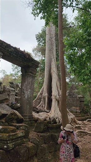 Ta Nei Tmeple Lost in Jungle