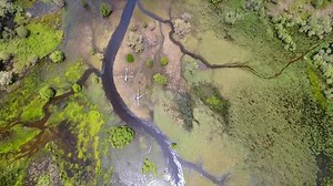 SERIES 12 of IFISH Returns to your screens tomorrow...... A little taste of what is to come! | Ifish