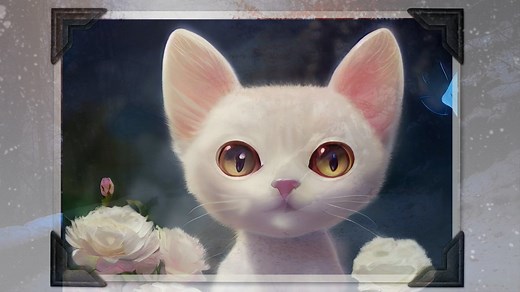 Katze, Kätzchen, Haustier