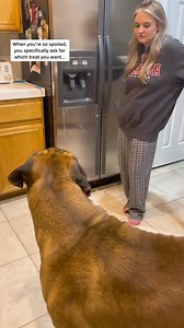 #DoritosDareToBeBurned #fyp #pov #besties #bowsersworld #funnydog #dogsof #mastiffsoftiktock #animal | bowserthemastiff