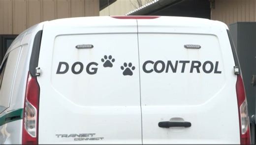 From health dept. to sheriff: Livingston County overhauls dog control operations