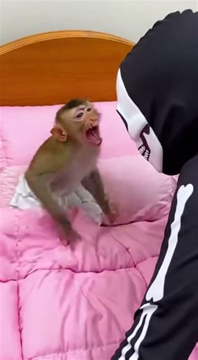 World of Fun - Good Morning Monkey 😂🤣